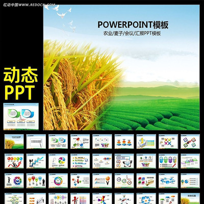 ũҵˮũ彨趯̬PPT ppt