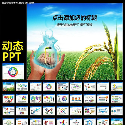 ũҵˮũ彨趯̬PPTģ ppt