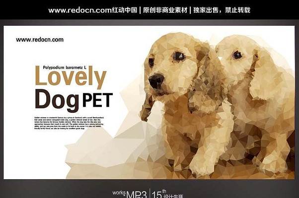 狗狗宠物背景设计 PSD