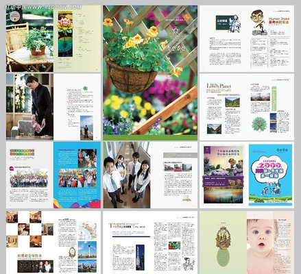 �ɻ���Ů��