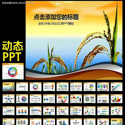 ũ��ϲ����ʳ���ն�̬ppt ppt