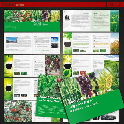 ���ϲ�Ʒ����