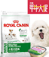 �Ա���è����������ͼ PSD