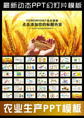 ũҵũ彨趯̬PPT ppt