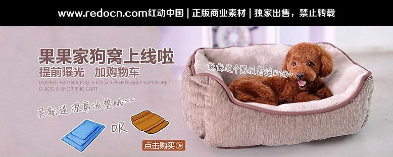 �Ա����ﹷ��