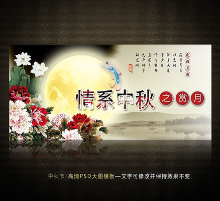 ��ϵ����