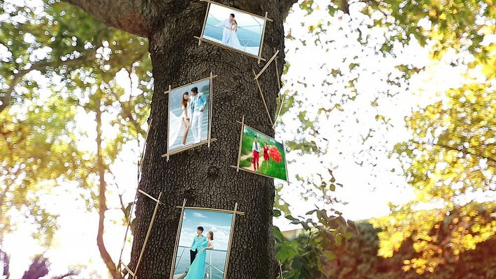 ��ͥ�����