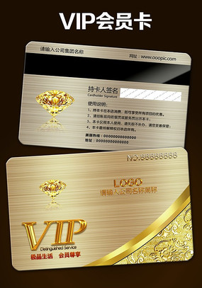 ��ɫ����VIP����� PSD