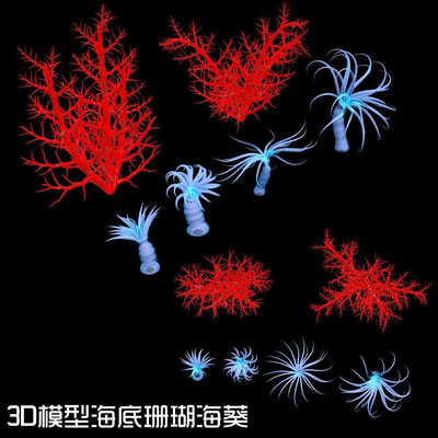 ɺ������