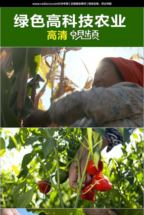 ��ɫũҵ��Ƶ