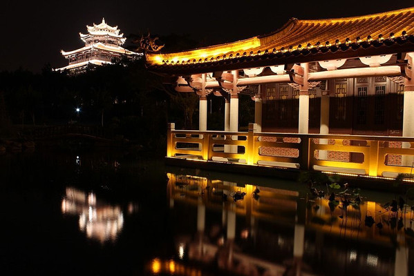 ��Ƶ����ҹ��