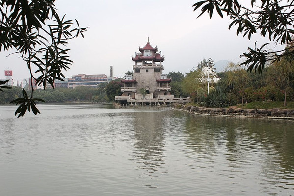 Ȫ�ݶ������