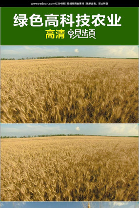 ��ɫС��ũ����д��Ƶ mov