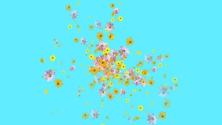 ������Ƶ�ز�