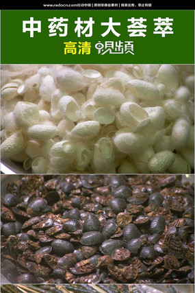 ʵ����ҩ�Ĵ����� mov