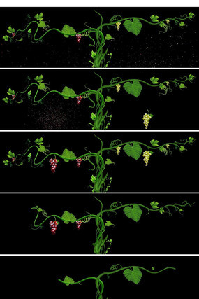 ��Ҷ����