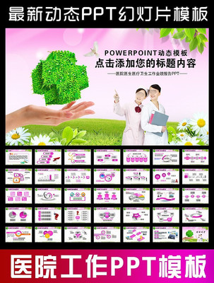 ҽԺҽ������������ʿҵ������PPT pptx