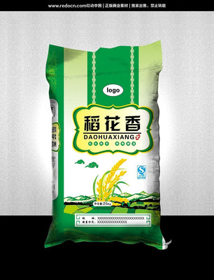 ��������װ�װ��� AI