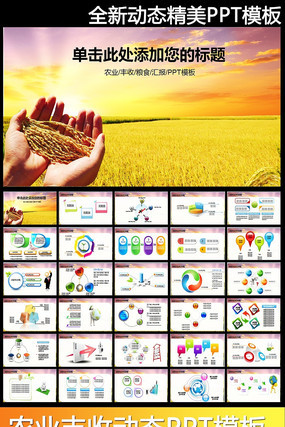 ˮ����ũ��PPT pptx