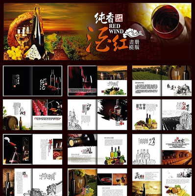 ��ƻ���ģ����� CDR