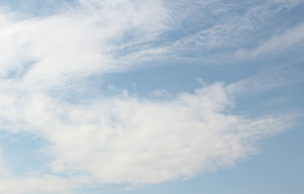 �ƶ�Ư����Ƶ mpg