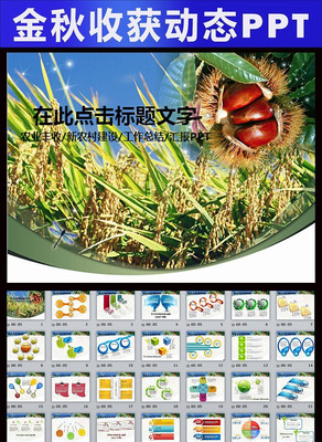 ˮ���о�ũҵ������ũ�彨�趯̬PPT pptx