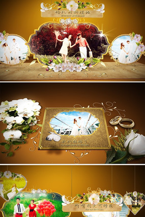 3d���巭ҳ���������ģ�� aep