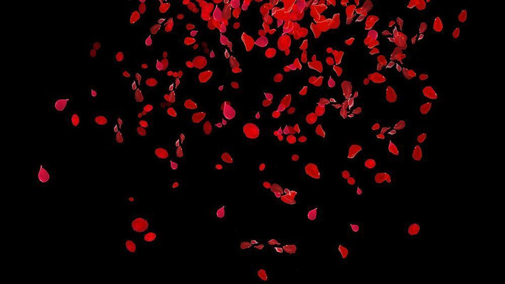 ����Ʈ�䶯̬