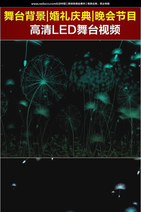 �����ѹ�Ӣ