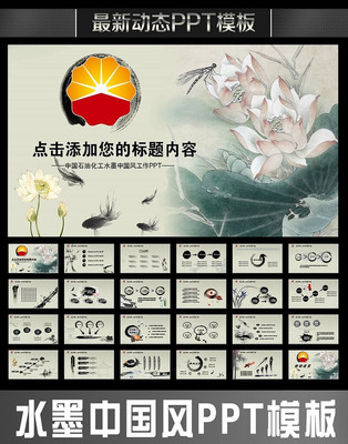 中国石油化工能源工作报告PPT pptx