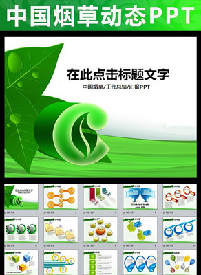 �̲ݾ��̲�ר�����ۻ��鱨�涯̬PPT pptx