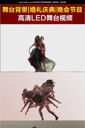 ��������˫���赸���� mov