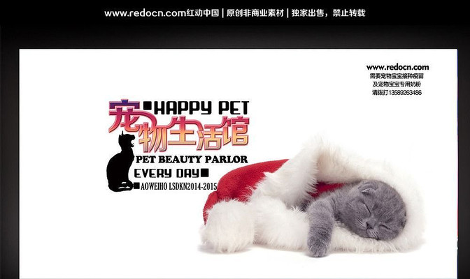 萌萌宠物馆宣传海报 PSD