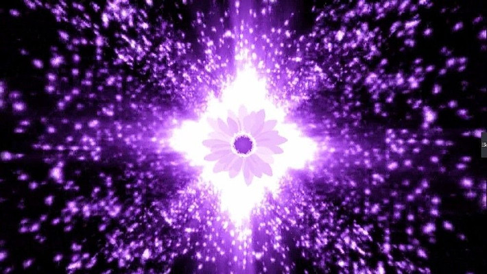 �����ɫ��â��̬��Ƶ���� mpg