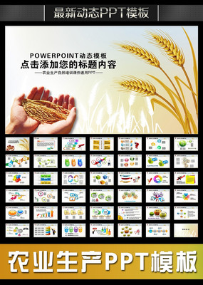 ����ũҵ����PPT pptx