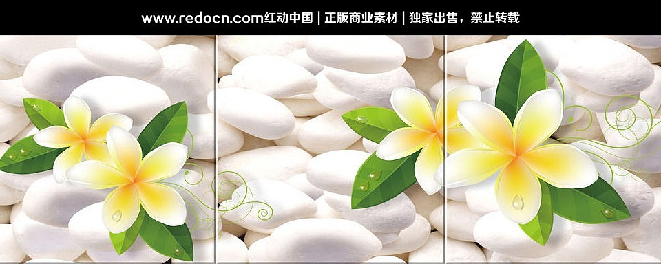 �������޿� PSD