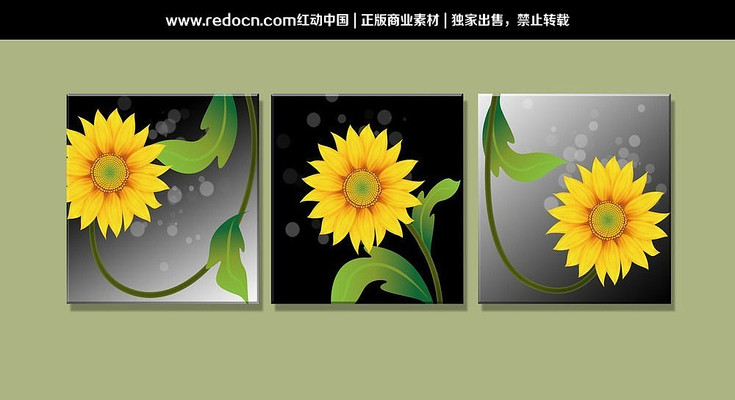 �ڰ�װ��̫��