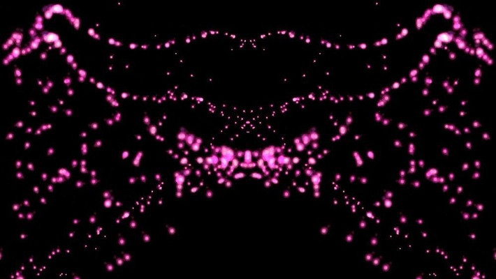 ö��ɫ�����ز�