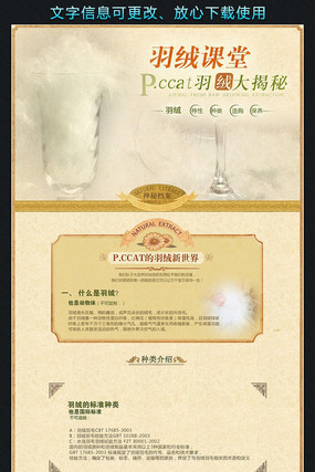 �Ա�ŮװƷ�ƹ���װ��ҳ��ģ�� PSD