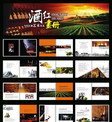 ��ƻ������ģ�� CDR