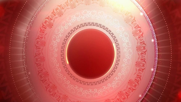 �й�����Ƶ�����ز����� mov