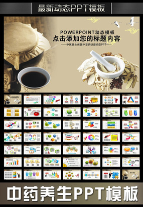 ��̬ʳ������ppt pptx