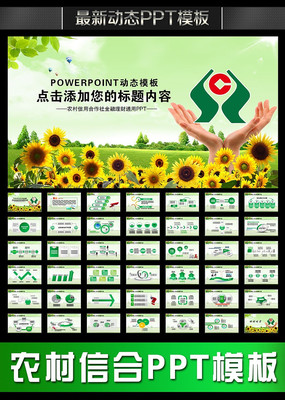 �й�ũ�Ͻ��ڶ�̬PPT pptx