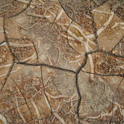 ���Ѵ��ֲ����ӱ�������ӡ��ͼ�� TIF