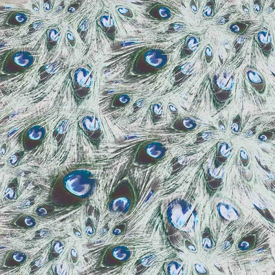 ��ȸ��ë����ӡ��ͼ����� TIF