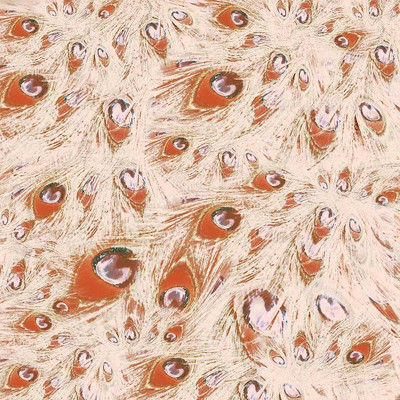 ��ɫ��ȸ��ë����ӡ��ͼ����� TIF