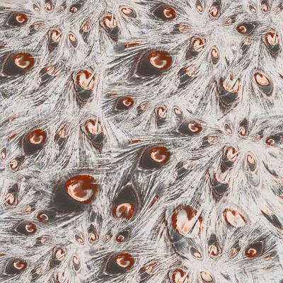 ��ɫ��ȸ��ë����ӡ��ͼ����� TIF