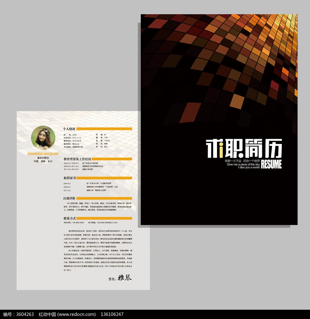 ����֤ȯͶ�ʻ�����ְ����