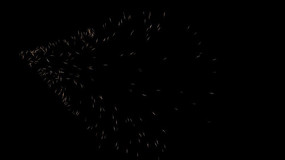 ��ɫ������ɢ��Ʈ�������Ƶ�ز� mpg