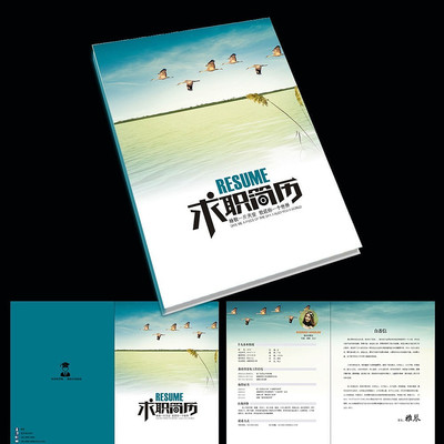 ���������ְ������� PSD